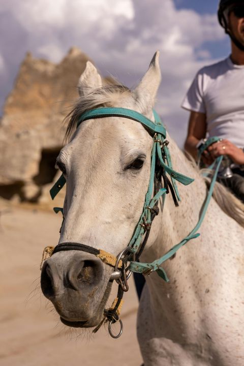 Didim Horse Safari