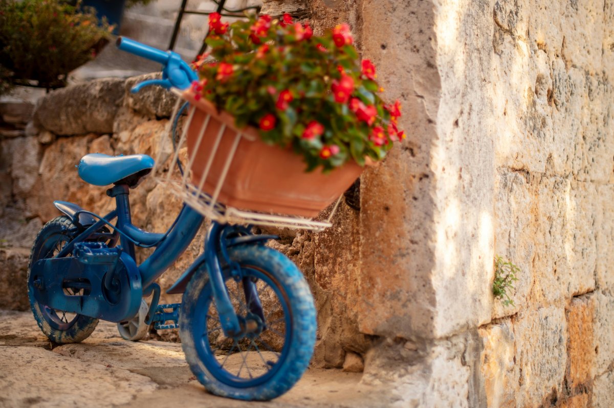 Kusadasi to Samos Roundtrip day tour with Ferry