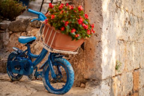 Kusadasi to Samos Roundtrip day tour with Ferry