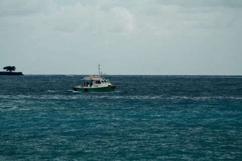 Kusadasi Scuba Diving for Beginners with Lunch and Transfer