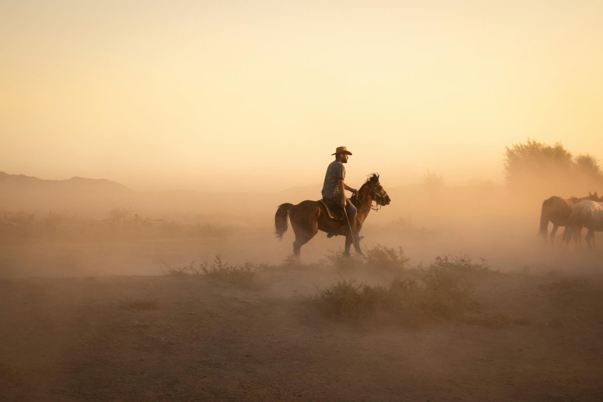 Cappadocia Horseback Riding Safari Sunrise or Sunset