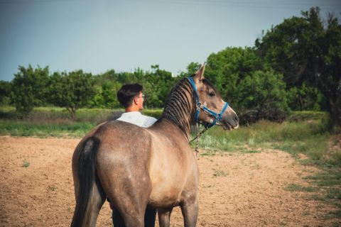 Cappadocia Horseback Riding Safari Sunrise or Sunset