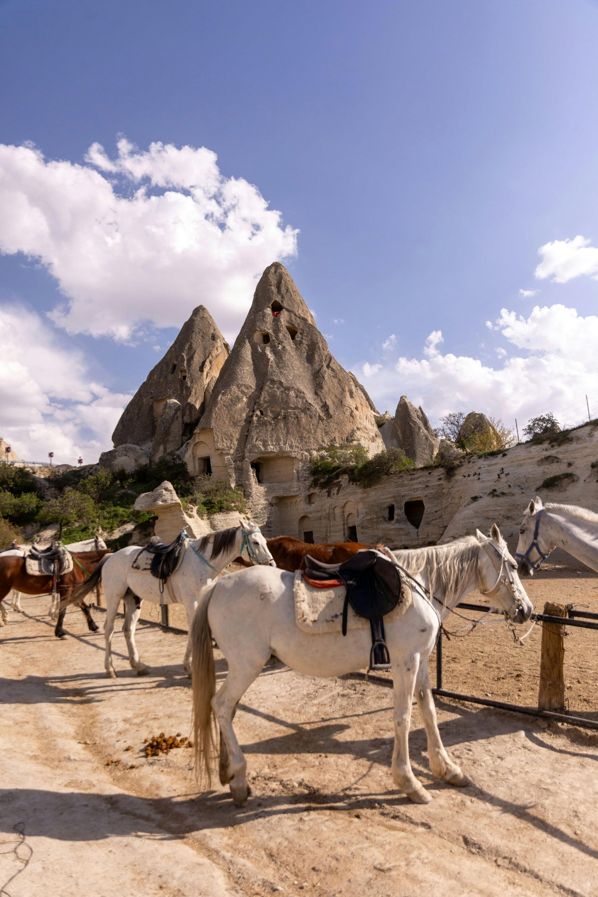 Cappadocia Horseback Riding Safari Sunrise or Sunset